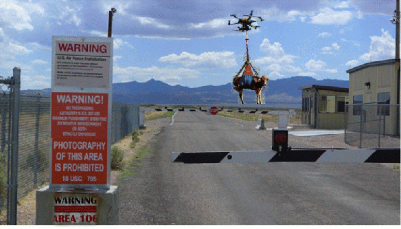 Cow_Drone_Area106_moving
